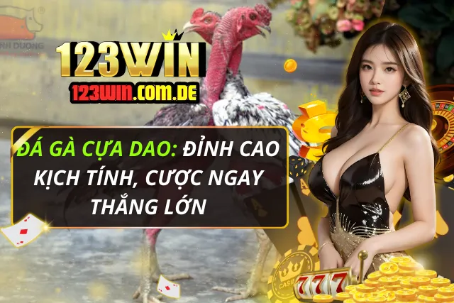 Đá gà cựa dao